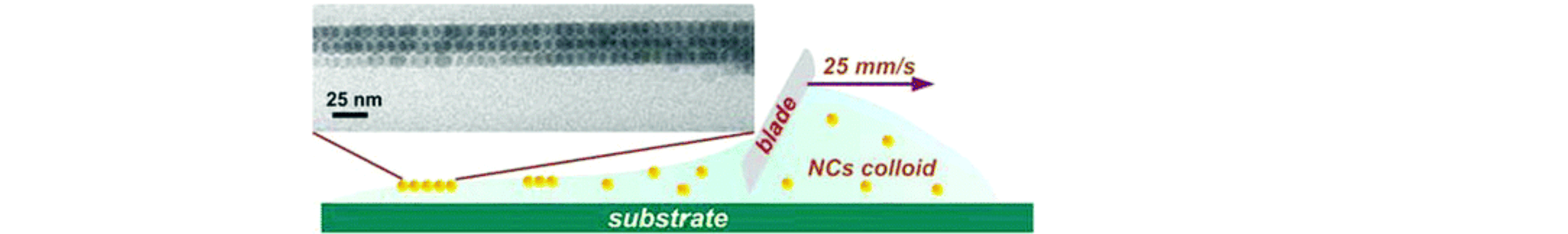 Large-Area Ordered Superlattices from Magnetic Wuestite/Cobalt-Ferrite Core/Shell Nanocrystals by Doctor Blade Casting