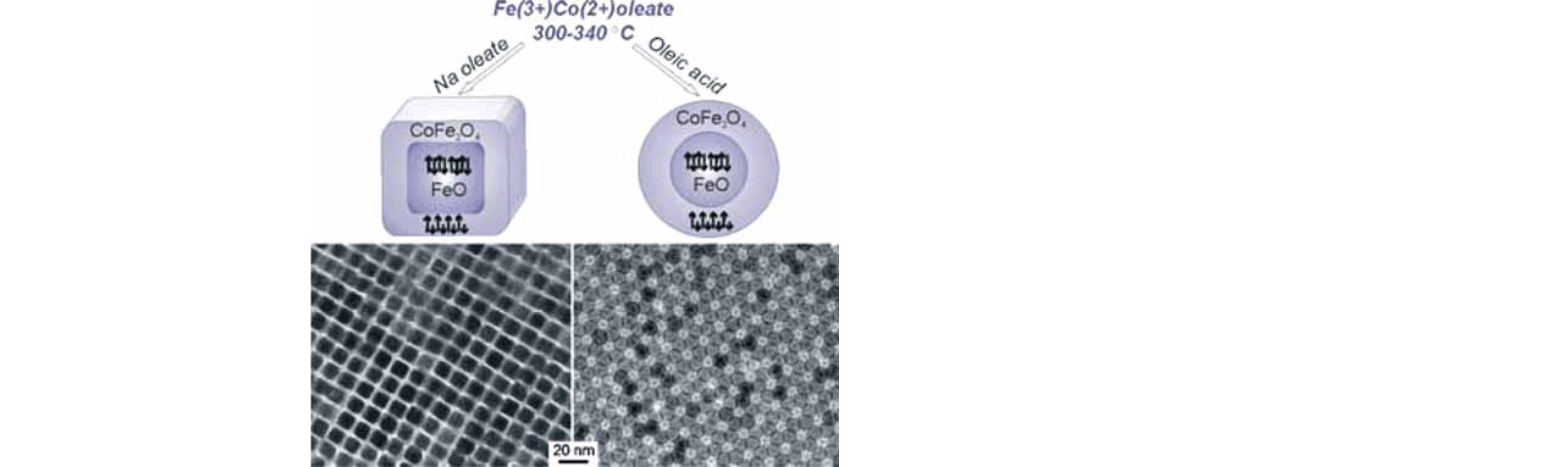 Enlarged view: Exchange-coupled bimagnetic wüstite/metal ferrite core/shell nanocrystals: size, shape, and compositional control