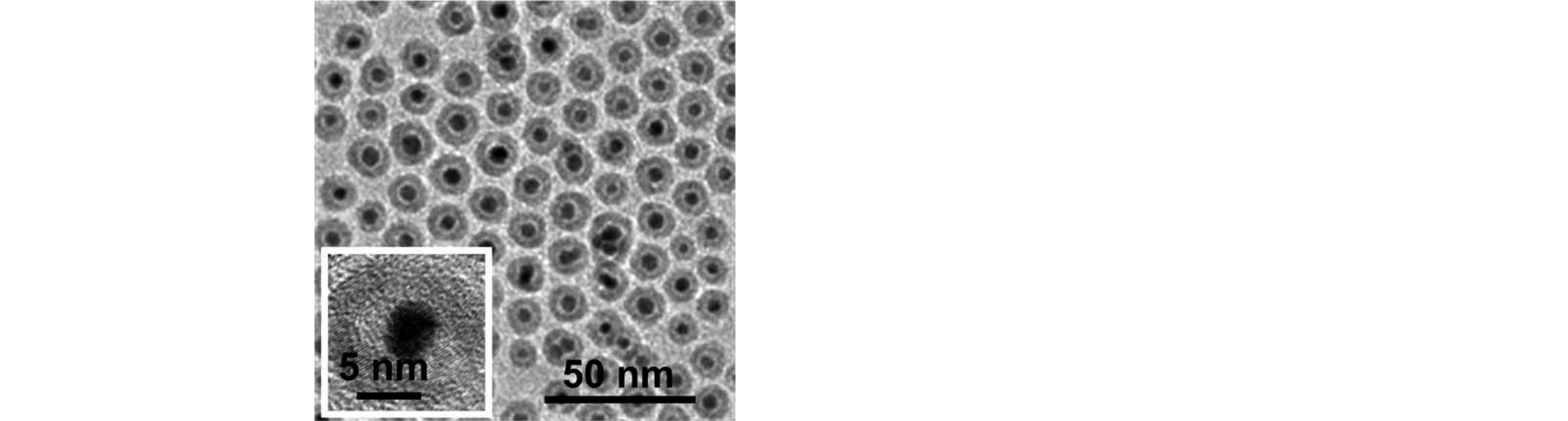 Gold/Iron Oxide Core/Hollow-Shell Nanoparticles