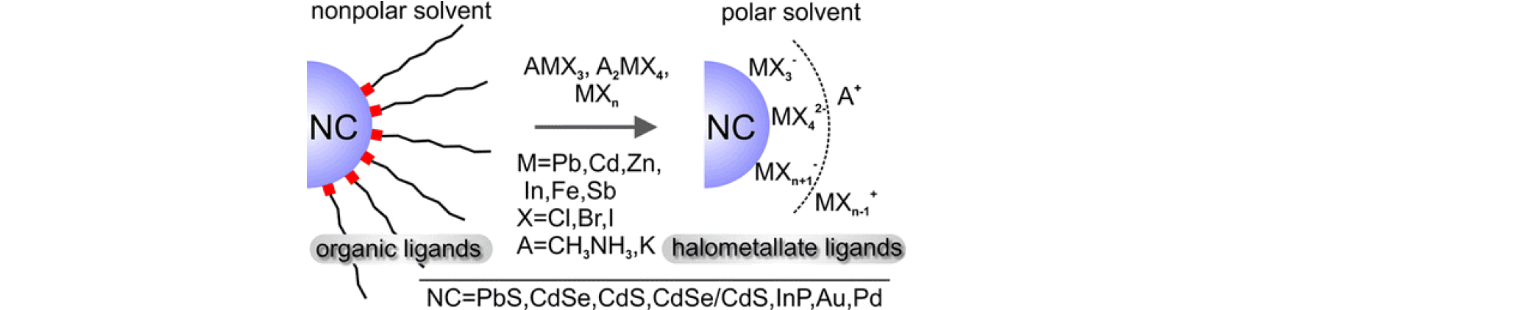 Lead Halide Perovskites and Other Metal Halide Complexes as Inorganic Capping Ligands for Colloidal Nanocrystals
