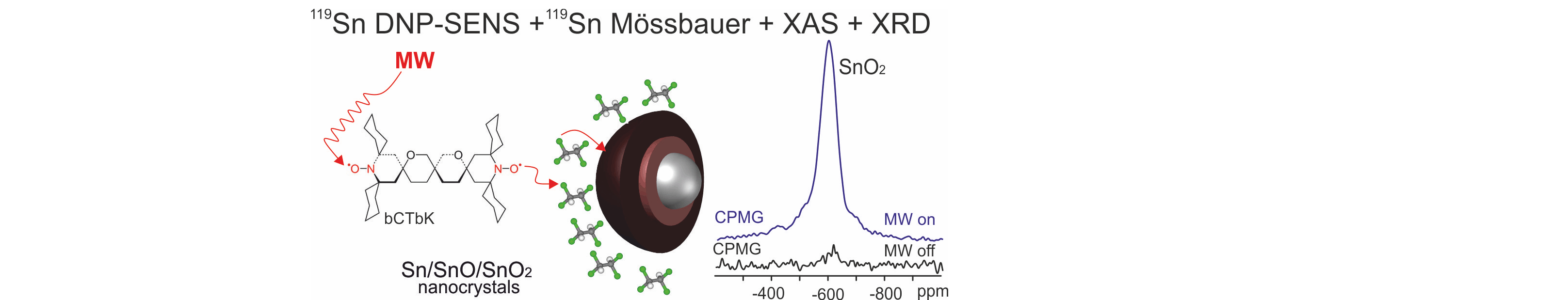 Unraveling the Core-Shell Structure of Ligand-Capped Sn/SnOx Nanoparticles by Surface Enhanced Nuclear Magnetic Resonance, Mössbauer and X-Ray Absorption Spectroscopies