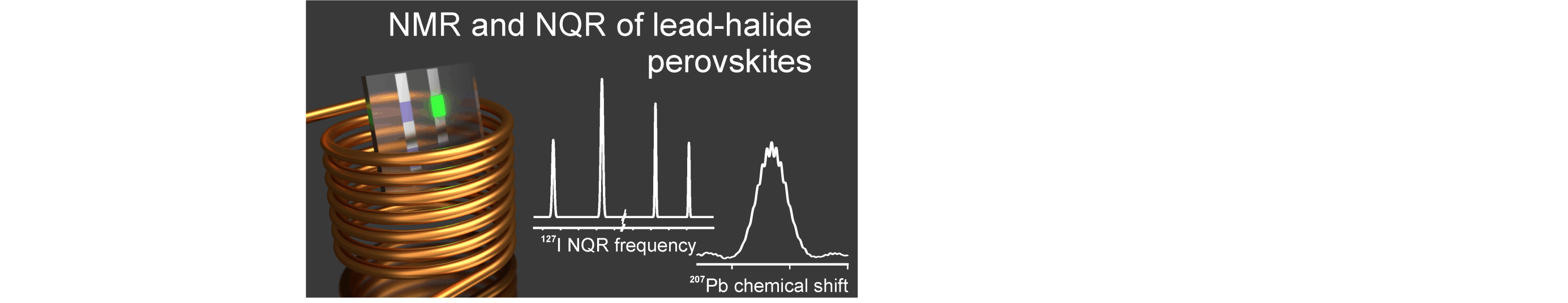 Solid-​state NMR and NQR Spectroscopy of Lead-​Halide Perovskite Materials