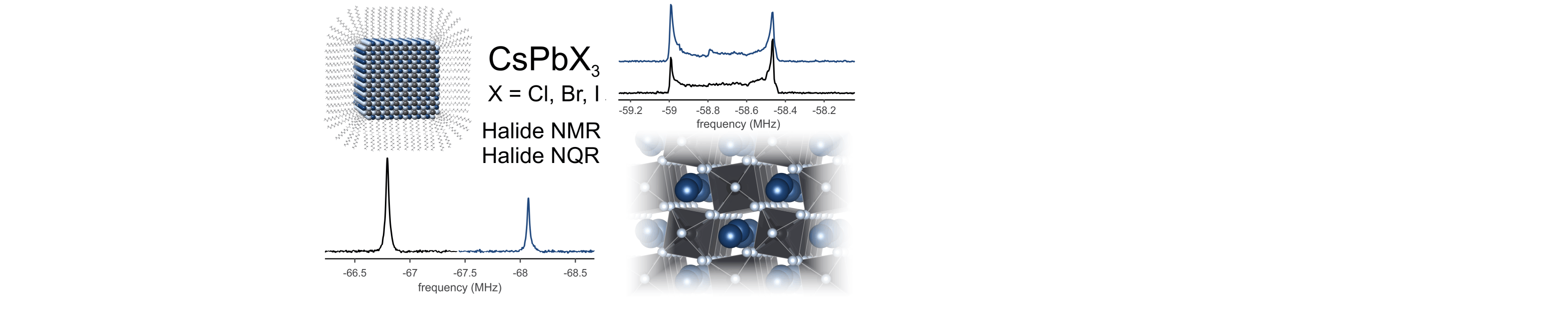 Bulk and Nanocrystalline Cesium Lead-Halide Perovskites as Seen by Halide Magnetic Resonance