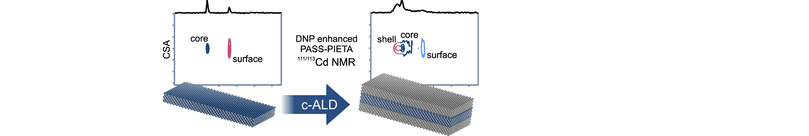 Colloidal-ALD-grown core/shell CdSe/CdS nanoplatelets as seen by DNP enhanced PASS-PIETA NMR spectroscopy
