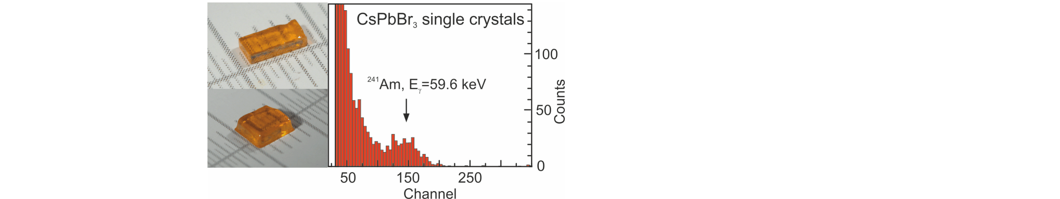 Solution-grown CsPbBr3 perovskite single crystals for photon detection